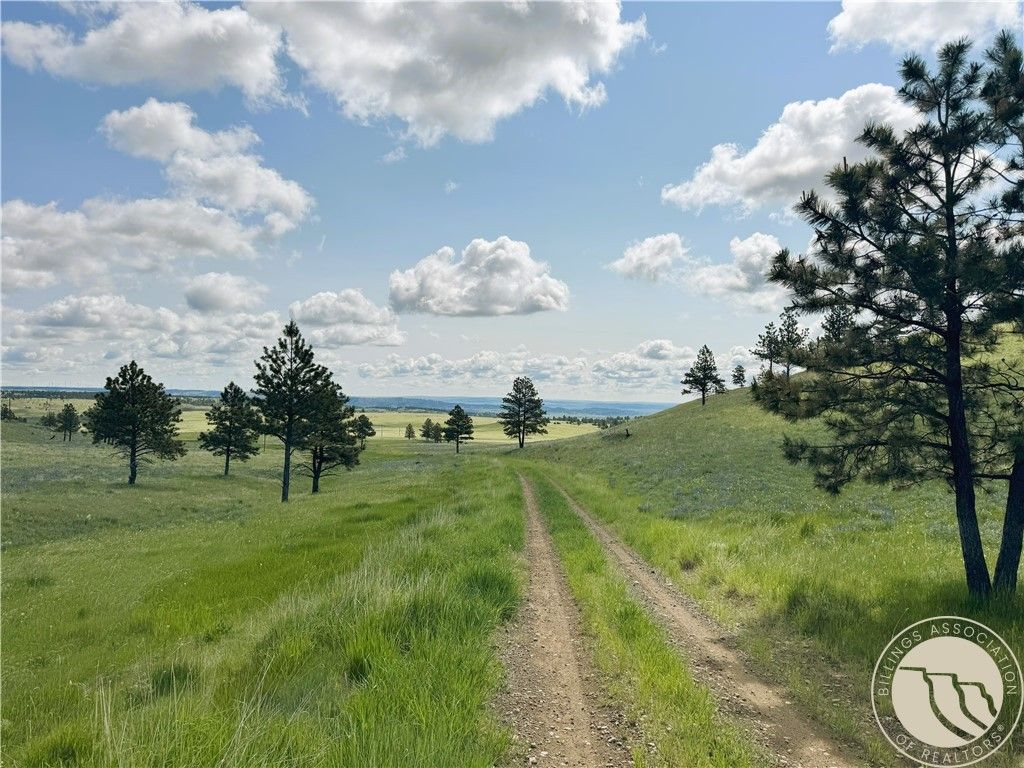 tbd Deadmans Canyon Rd, Reed Point, MT 59601 photo 9