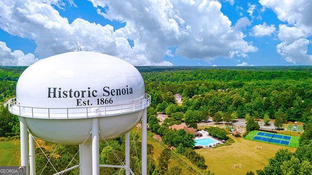 260 Savannah Drive, Senoia, GA 30276