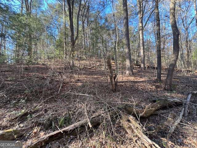 3 Old Miller Rock Road, Ellijay, GA 30540