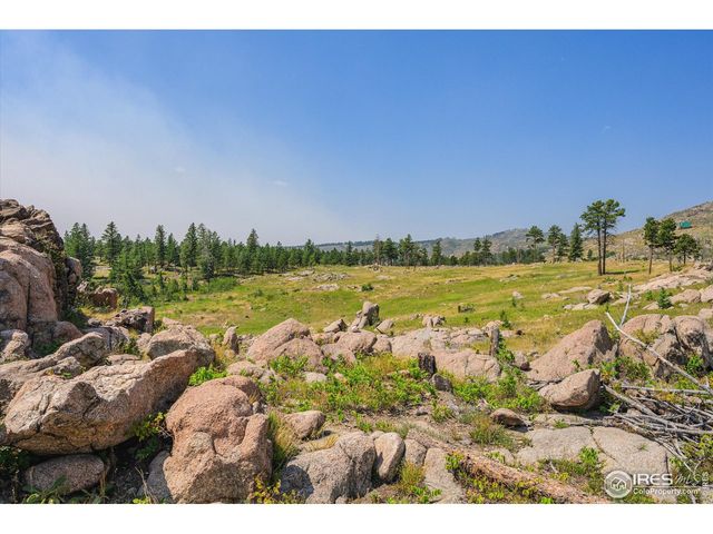 3805 Davis Ranch Rd, Bellvue, CO 80512