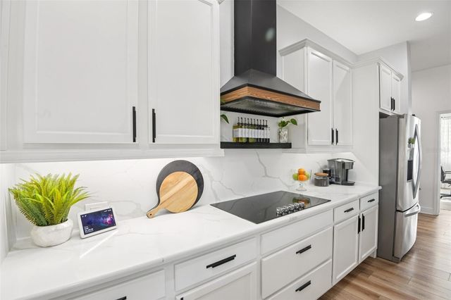 1781 TONKA TERRACE, Wesley Chapel, FL 33543