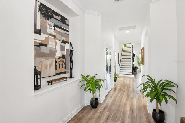 1781 TONKA TERRACE, Wesley Chapel, FL 33543