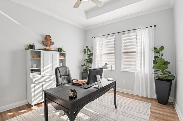 1781 TONKA TERRACE, Wesley Chapel, FL 33543