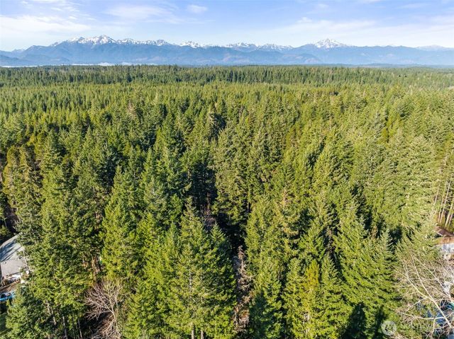 1310 NE Collins Lake Drive, Tahuya, WA 98588