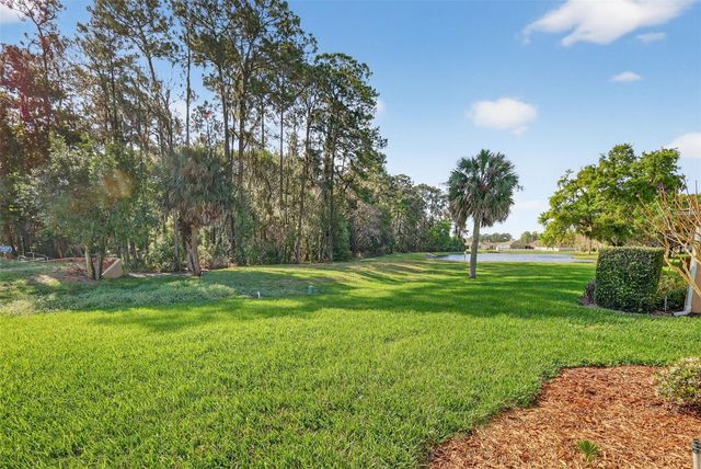 316 BAYTREE BOULEVARD, Tavares, FL 32778