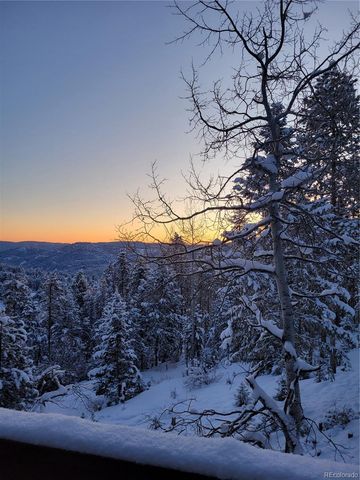 32462 Lodgepole Drive, Evergreen, CO 80439