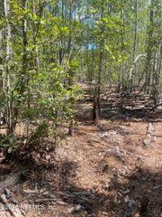109 ARDEN Street, Georgetown, FL 32139