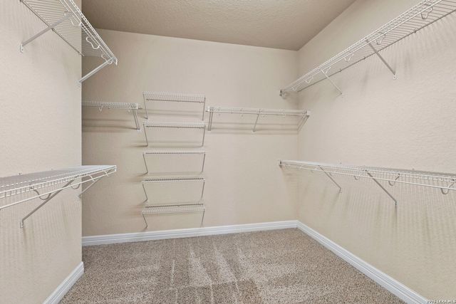 2618 Gray Whales, Converse, TX 78109