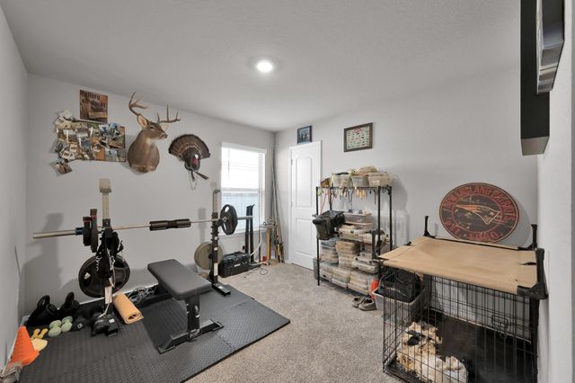 21263 Ivy Woods Court, New Caney, TX 77357