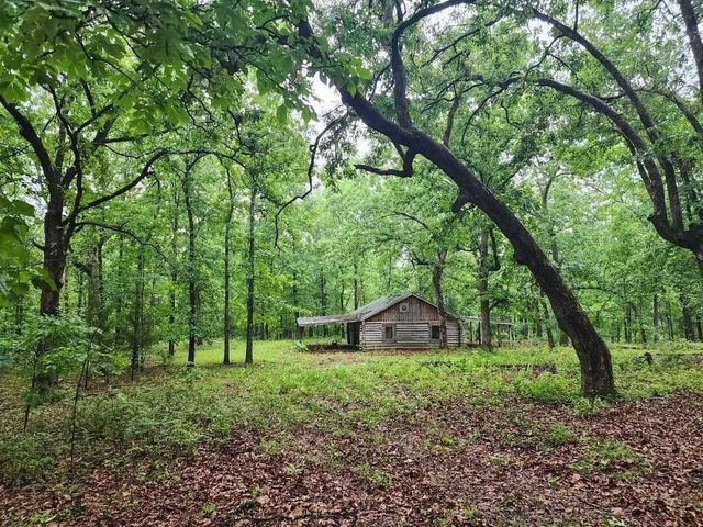 153 Private Road 204-184, Alton, MO 65606