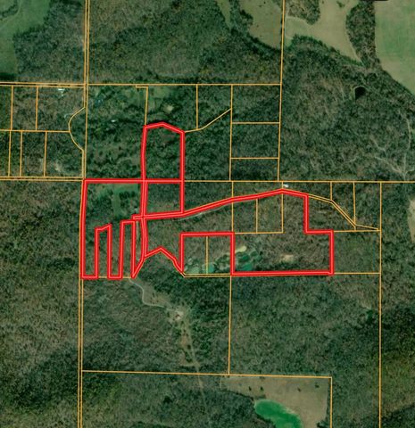 153 Private Road 204-184, Alton, MO 65606