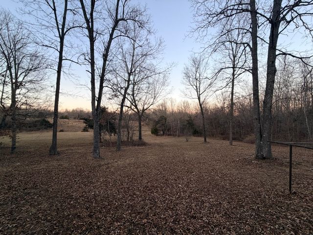 153 Private Road 204-184, Alton, MO 65606