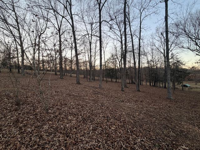 153 Private Road 204-184, Alton, MO 65606