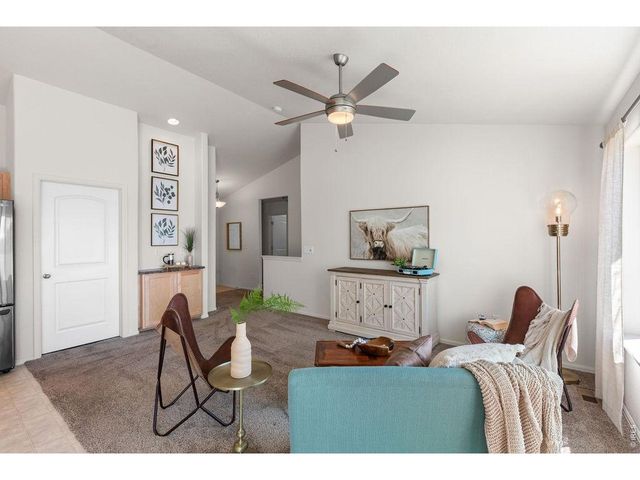 1113 Tur St, Severance, CO 80550