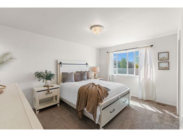 1113 Tur St, Severance, CO 80550