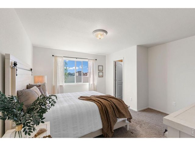 1113 Tur St, Severance, CO 80550