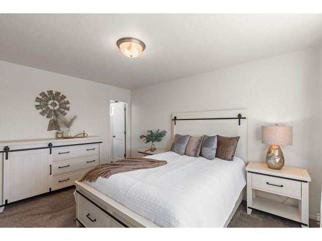 1113 Tur St, Severance, CO 80550