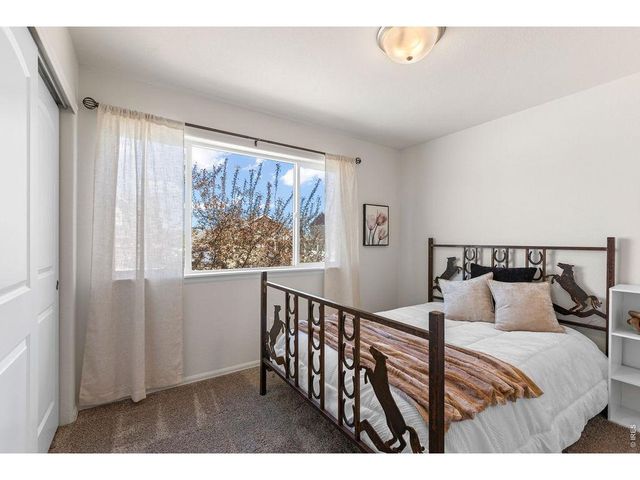 1113 Tur St, Severance, CO 80550