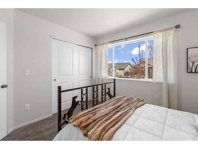 1113 Tur St, Severance, CO 80550