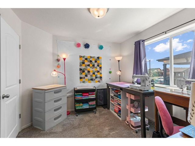 1113 Tur St, Severance, CO 80550