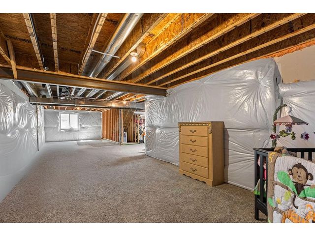 1113 Tur St, Severance, CO 80550