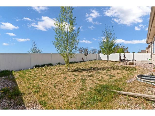 1113 Tur St, Severance, CO 80550