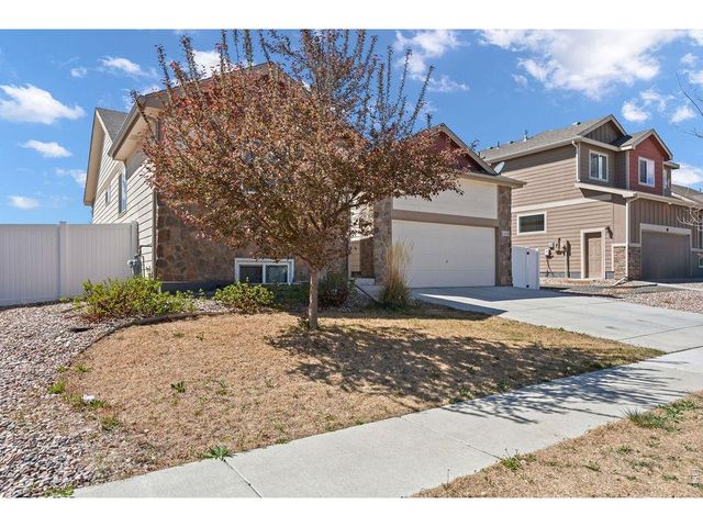 1113 Tur St, Severance, CO 80550