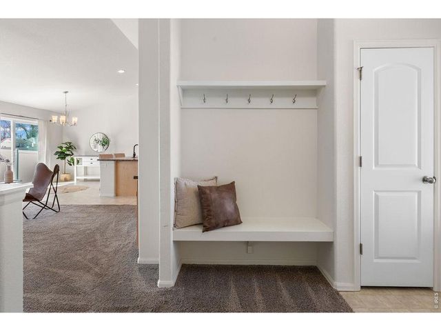 1113 Tur St, Severance, CO 80550