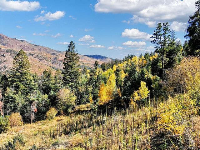 5295 Kulsa Road, Cascade, CO 80809