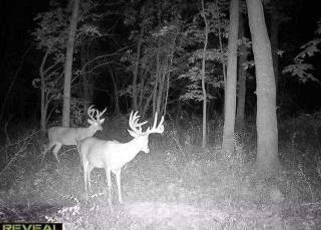 29210 S SSR D Highway, Cleveland, MO 64734