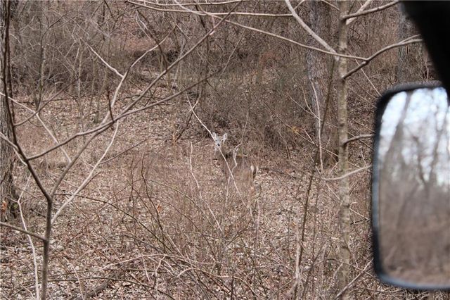 29210 S SSR D Highway, Cleveland, MO 64734