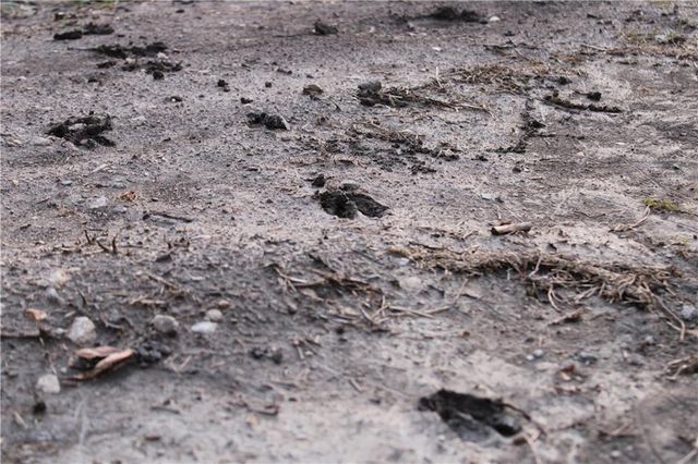 29210 S SSR D Highway, Cleveland, MO 64734