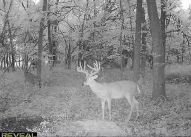 29210 S SSR D Highway, Cleveland, MO 64734