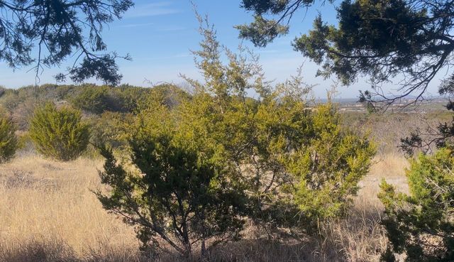 1472 Hidden Mountain Drive, Glen Rose, TX 76043