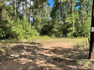 TBD Cr 1170, Kennard, TX 75847