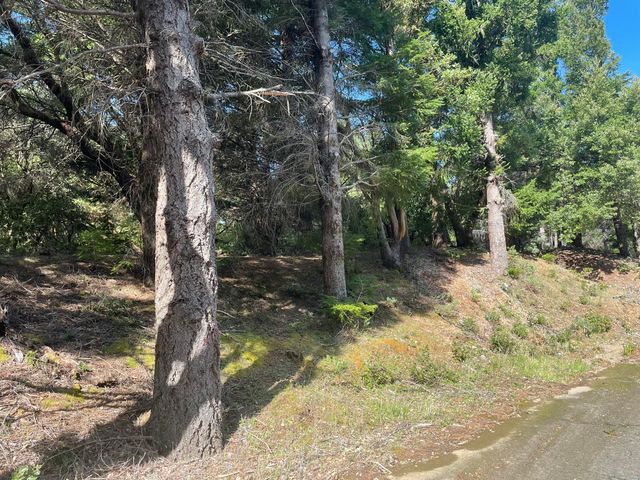 463 Cook Road, Shelter Cove, CA 95589