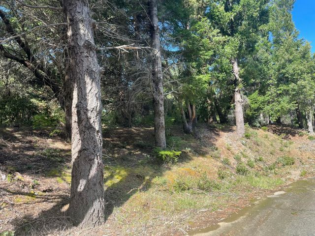 463 Cook Road, Shelter Cove, CA 95589