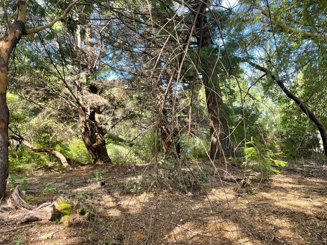 463 Cook Road, Shelter Cove, CA 95589