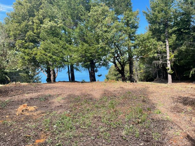 463 Cook Road, Shelter Cove, CA 95589