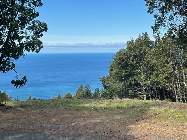 463 Cook Road, Shelter Cove, CA 95589