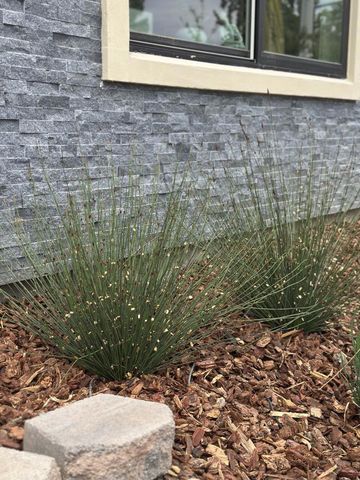 511 Union Avenue, Campbell, CA 95008