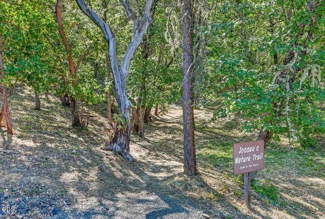 1300 Andrews Place, Jacksonville, OR 97530
