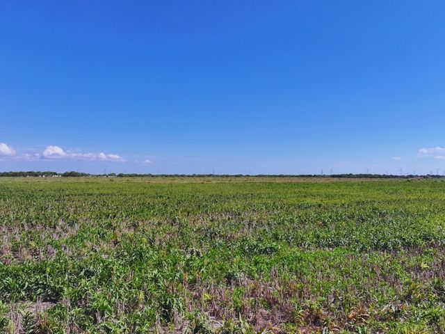 TBD FM 53, Odem, TX 78370