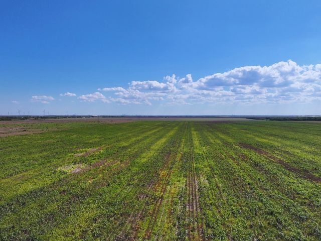 TBD FM 53, Odem, TX 78370
