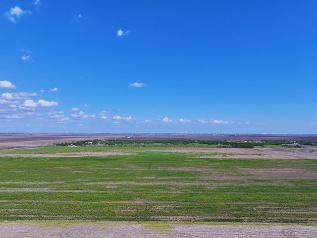 TBD FM 53, Odem, TX 78370