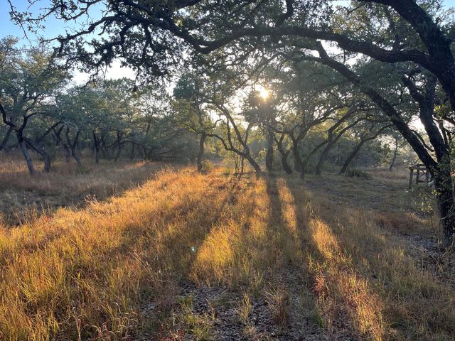 TBD Lost Oak TRL, Johnson City, TX 78636
