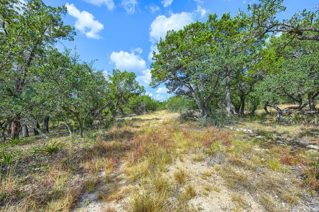 TBD Lost Oak TRL, Johnson City, TX 78636