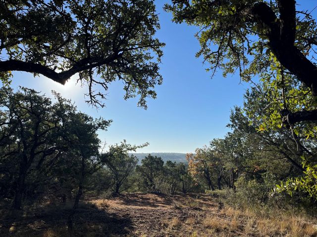 TBD Lost Oak TRL, Johnson City, TX 78636