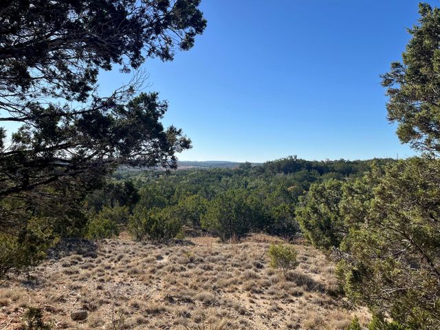 TBD Lost Oak TRL, Johnson City, TX 78636