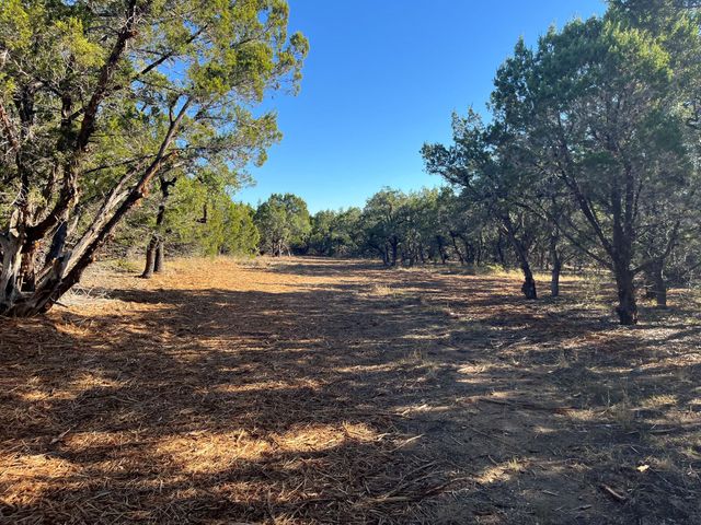 TBD Lost Oak TRL, Johnson City, TX 78636